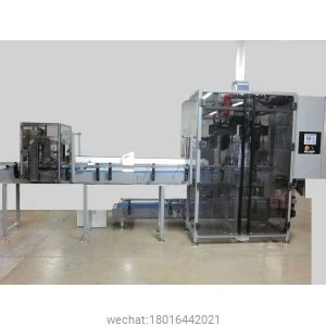 F-Style Case Packer 1