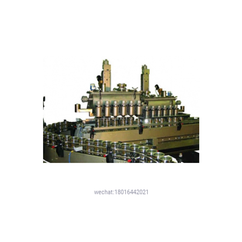 Dual 6-Head – Automatic Net Weight Filling Machine 1