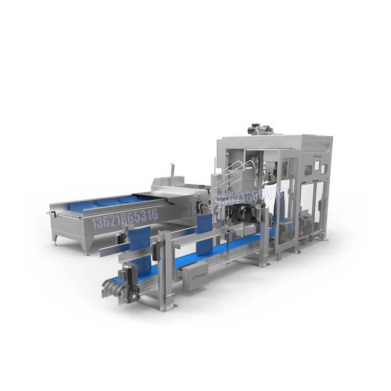 Metrology Weighing & Ton Bag/60KG Open-Mouth Bag Packing Machine 1
