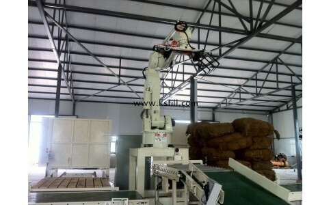 Palletizing Robot 1