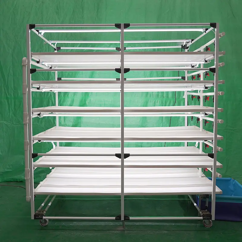 Seed Starting Rack Qingdao/Shanghai by Lyine 3