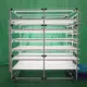 Seed Starting Rack Qingdao/Shanghai by Lyine 3