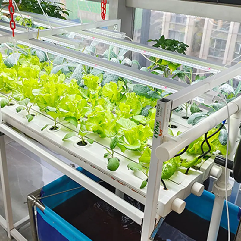 Best Nft Hydroponic System Upply 4