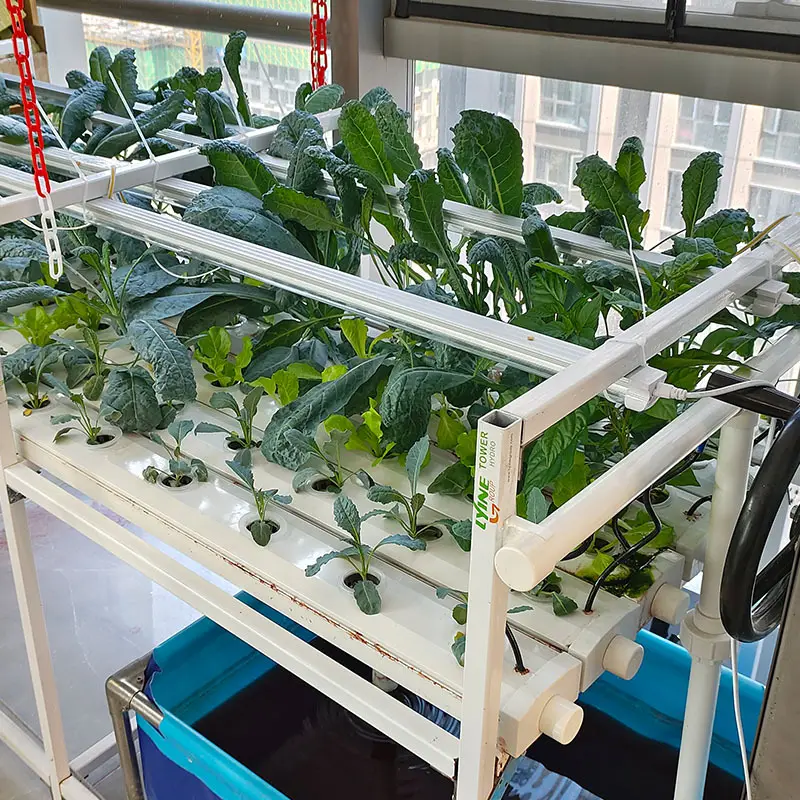 Best Nft Hydroponic System Upply 5