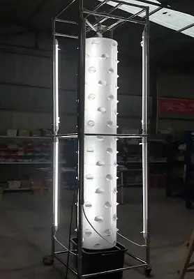Torre de jardín hidropónico personalizada Lyine Company 2