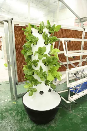 Lyine Indoor Hydrocultuur Torensysteemmakers 2