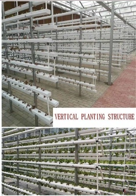 NFT hydroponic system 1