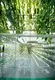 Трговија на големо Hydroponic Tower Lyine Бренд 2