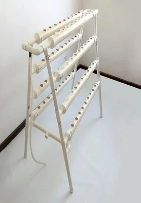 Brunei NFT Hydroponics System 1