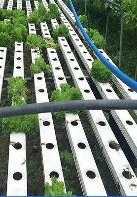 Wysokiej klasy kryta hydroponiczna wieża ogrodowa Firma zajmująca się krytymi hydroponicznymi ogrodami 2