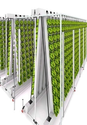 The Zipper Hydroponic System 1