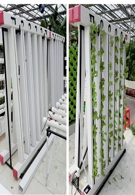 Canadian Double-side ZIP growing system 1