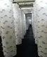Commercial Vertical Hydroponic System Upply 2