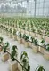 Nieuwste Hydroponic Garden Tower Hydroponic Garden Tower Company 2