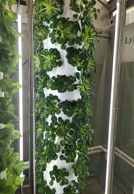 Hong Kong Aeroponic Tower System 1