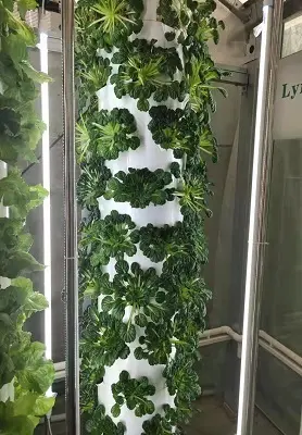 Best Hydroponic Tower System Makers 2