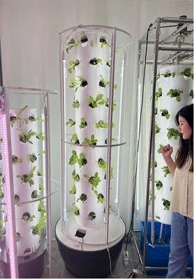 Netherland Aeroponic Tower 1