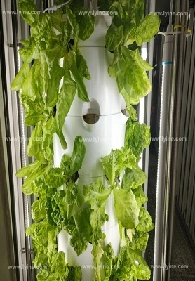 Mauritius Hydroponic Tower System 1
