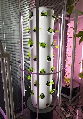 Córas Túir Hydroponics Catar 1