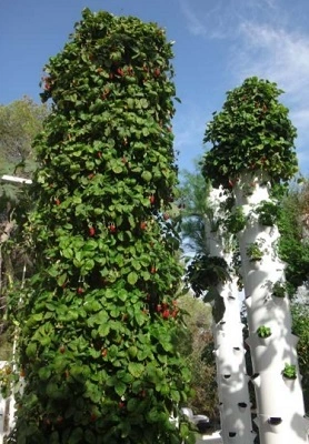 Fiji Hydroponic NFT System 1