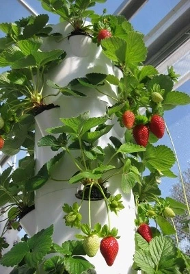 American Aeroponic Tower System4 1