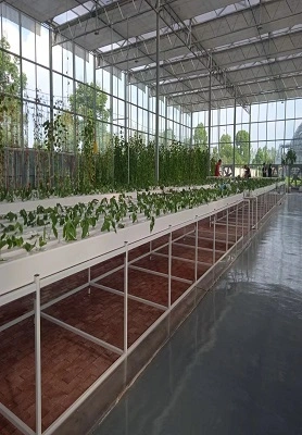 Mauritius Hydroponic Greenhouse 1