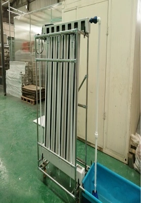 Córas Zip Hydroponic Singeapór 1