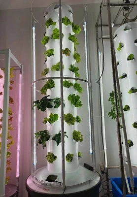 Poland Hydroponic Tower 1