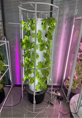 Uzbekistan Aeroponic Tower System 1