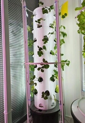 Cultive vegetales hidropónicos frescos en casa 1