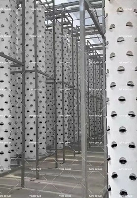 Canadian Hydroponic Tower Greenhouse Project 1