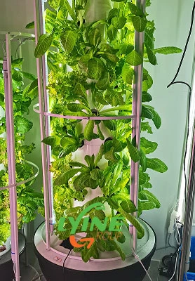 Colombian Aeroponic Tower System 1