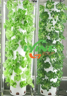 Mauritius Agent Sells Our Aeroponic Tower System 1