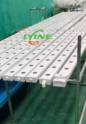 NFT System For Hydroponics In UAE 1