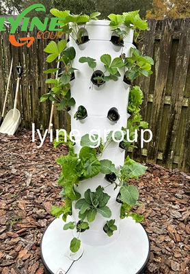 Korea Aeroponic Tower System 1