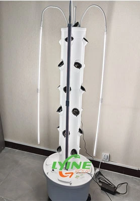 An Astráil Córas Túr Hydroponic Beag 4P6 1