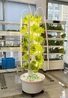 Saudi Arabian Customer Purchases a Small Hydroponic Tower System for Testing 1