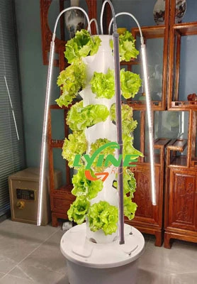 Canadian Customers Distribute the New 4p6 Mini Hydroponics Tower System 1