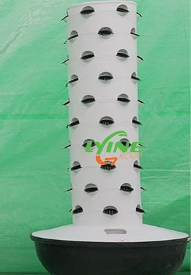 Saudi Arabia 6p9 Aeroponic Tower System 1