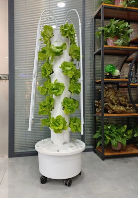 Two 4P6 Aeroponic Tower Systems in the United States 1