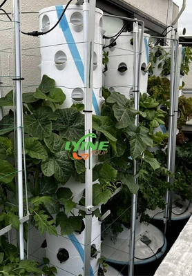 Un cliente de Hong Kong construye un jardín hidropónico con un sistema de torre aeropónica 1