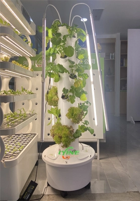 Mexican Customer Distributes Indoor Aeroponic Tower System 1