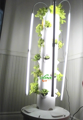Kanadalaiset asiakkaat käyttävät 4P6 Hydroponic Tower System -järjestelmää kotiistutuskokeissa 1