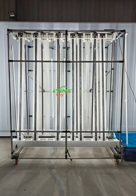 Customers in Mauritius Grow Lettuce with 2.5-meter Hydroponic Zip System 1