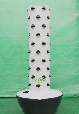 Un cliente de Jamaica compró dos juegos de sistemas de torre hidropónica 6P10 para cultivar hortalizas 1