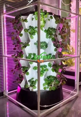  Canadian Customer Purchase Hydroponic Pineapple Tower System to Develop Hydroponic Industry 1