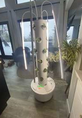 Ceannaíonn Custaiméir Cheanada Trealamh Túir Mini Hydroponic Le Plandáil 1