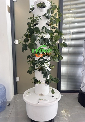 Canadian Customer Ready to Retail Home Hydroponic Equipment 1