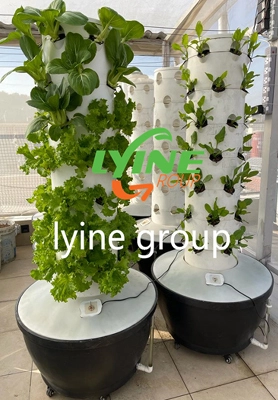 Saipan Teacher Uses 6P7 Aeroponic Tower System For Hydroponics Teaching 1