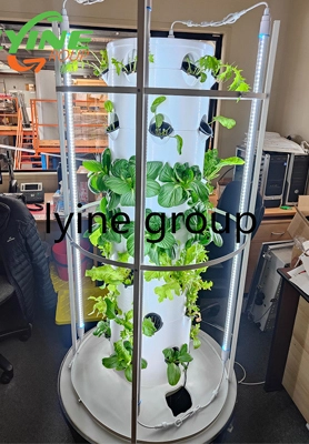 Malaysian Customers Are Exploring In the Hydroponics Industry  1